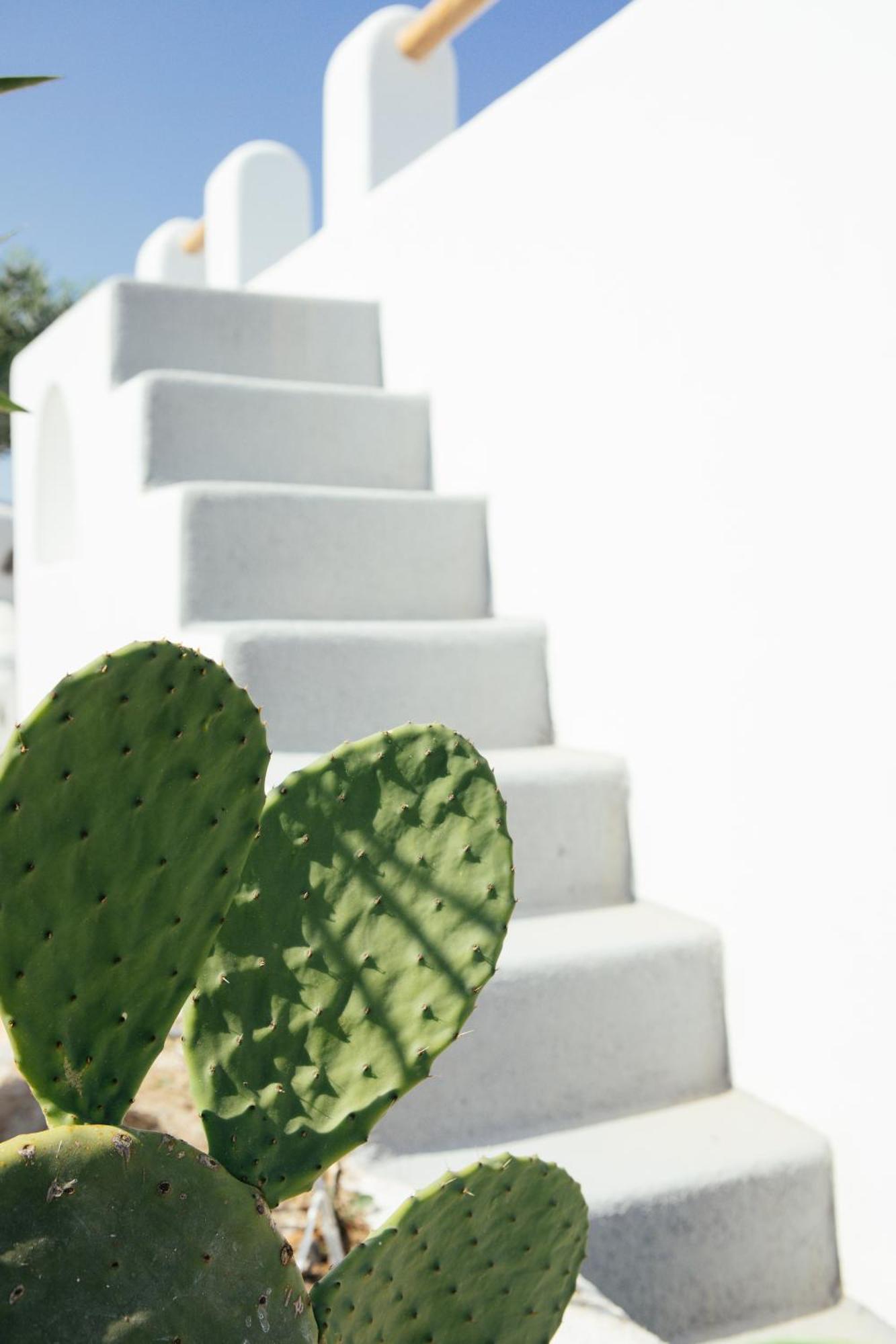 Olive Leaf Houses Firostefani Dış mekan fotoğraf
